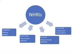 [ai] A diagram illustrating the role of National Human Rights Institutions (NHRIs) with central text labeled 'NHRIs'. Arrows point to four boxes: 'Legislature' with duties to advise, report, and advise; 'Government' with duties to recommend and monitor; 'Civil Society' with cooperation and consultation; 'Judiciary' with amicus curiae and referral.